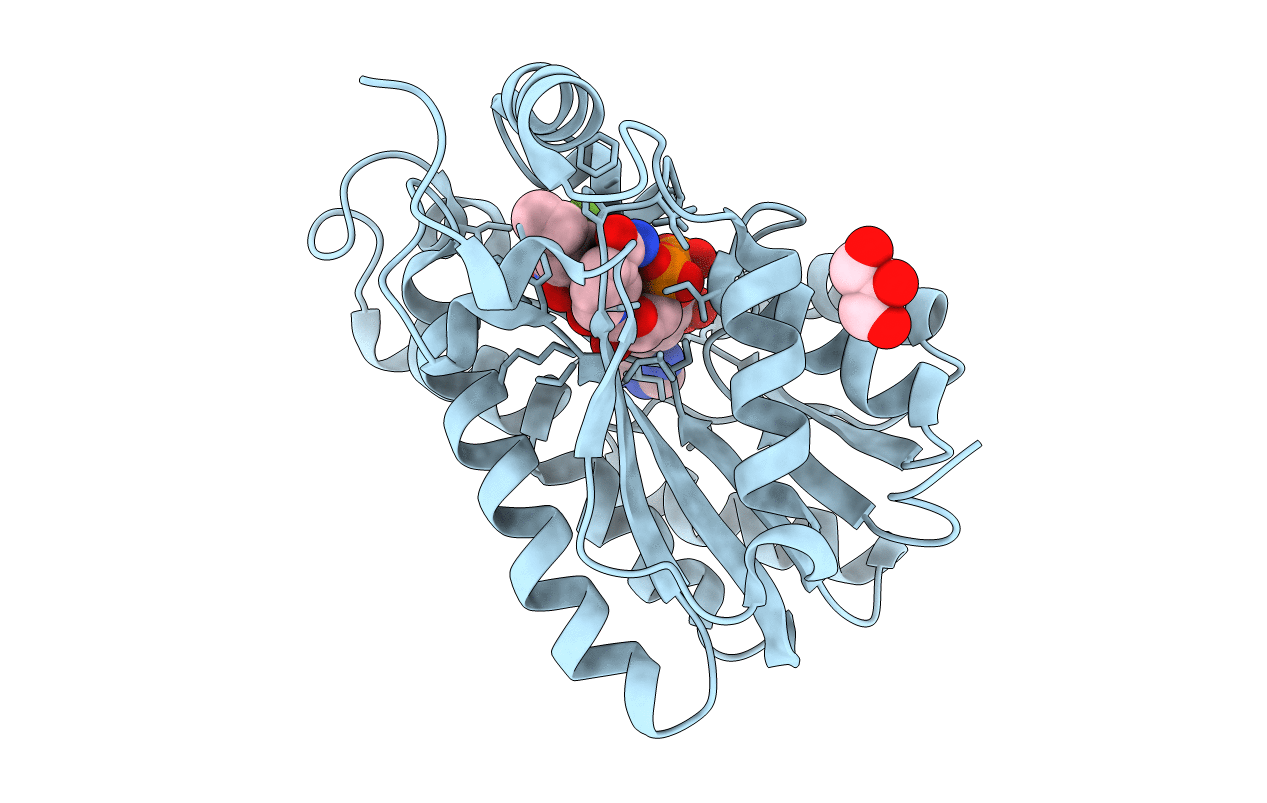 5I9L image