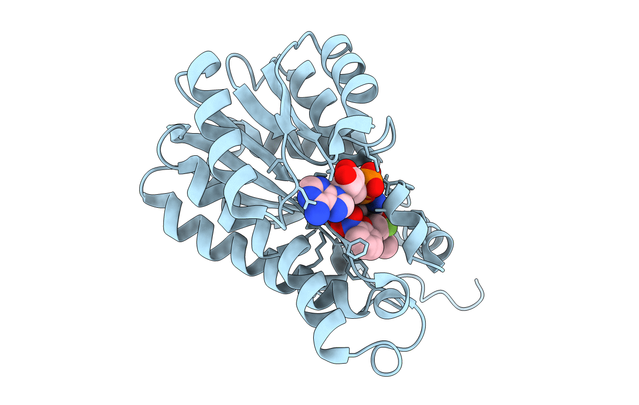 5I9N image