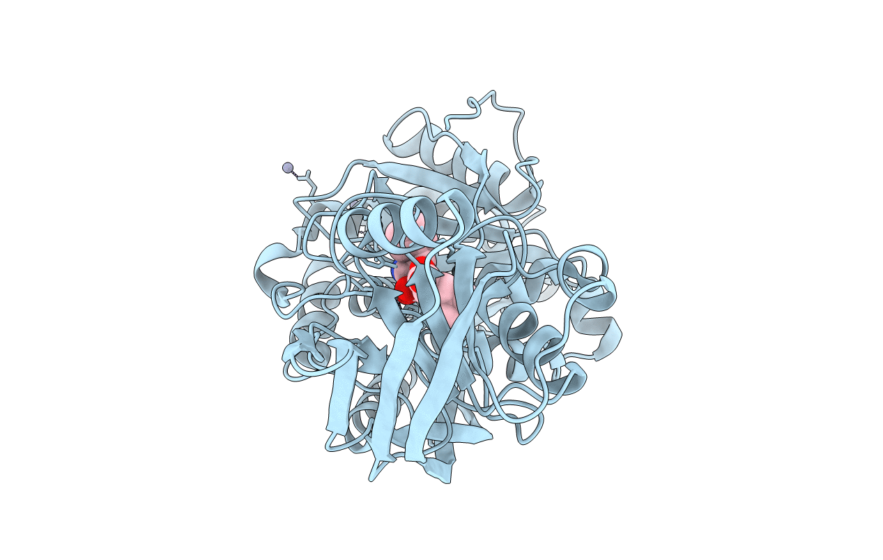 5IB9 image