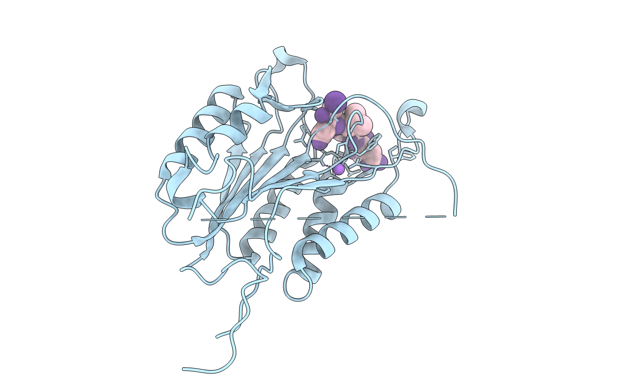 5IBC image