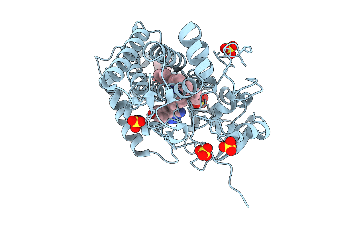 5IBE image