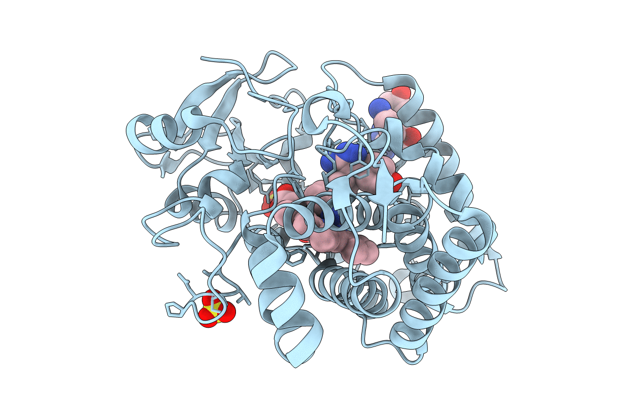 5IBG image
