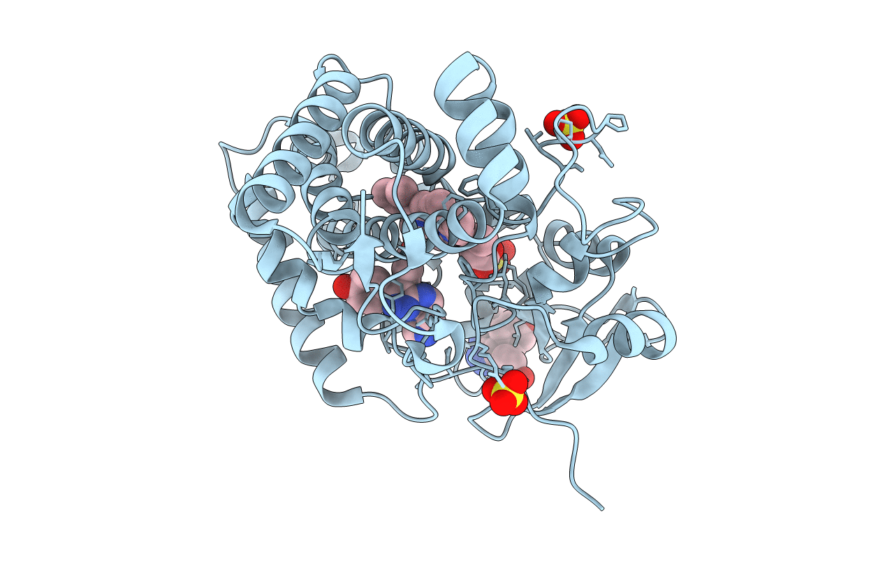 5IBH image