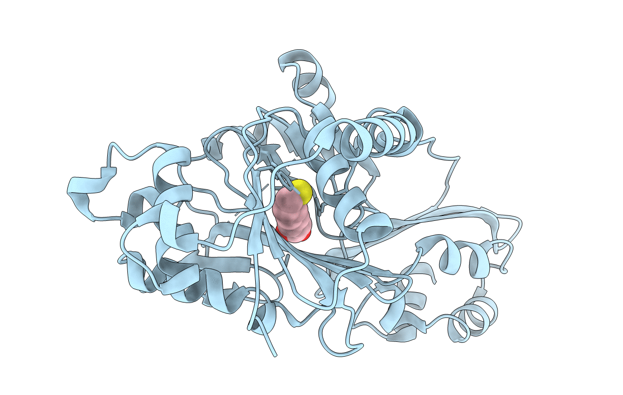 5IBY image