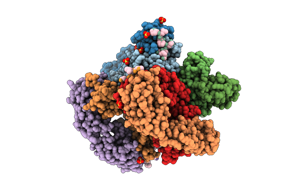 5IFJ image
