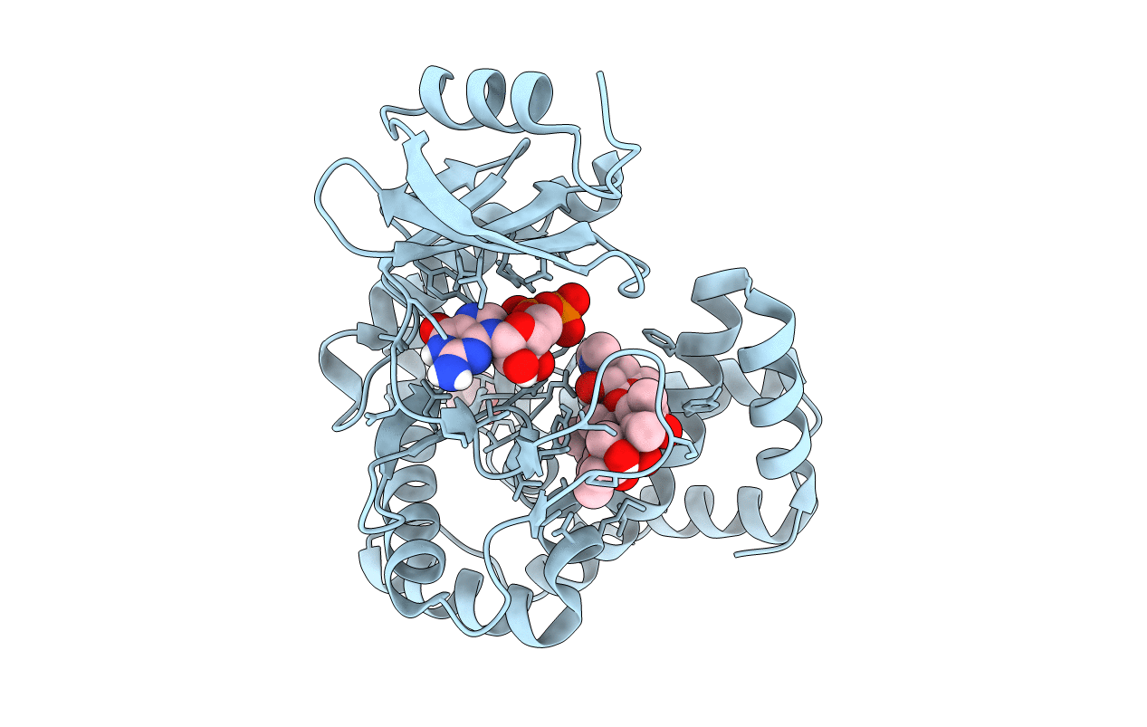 5IGP image