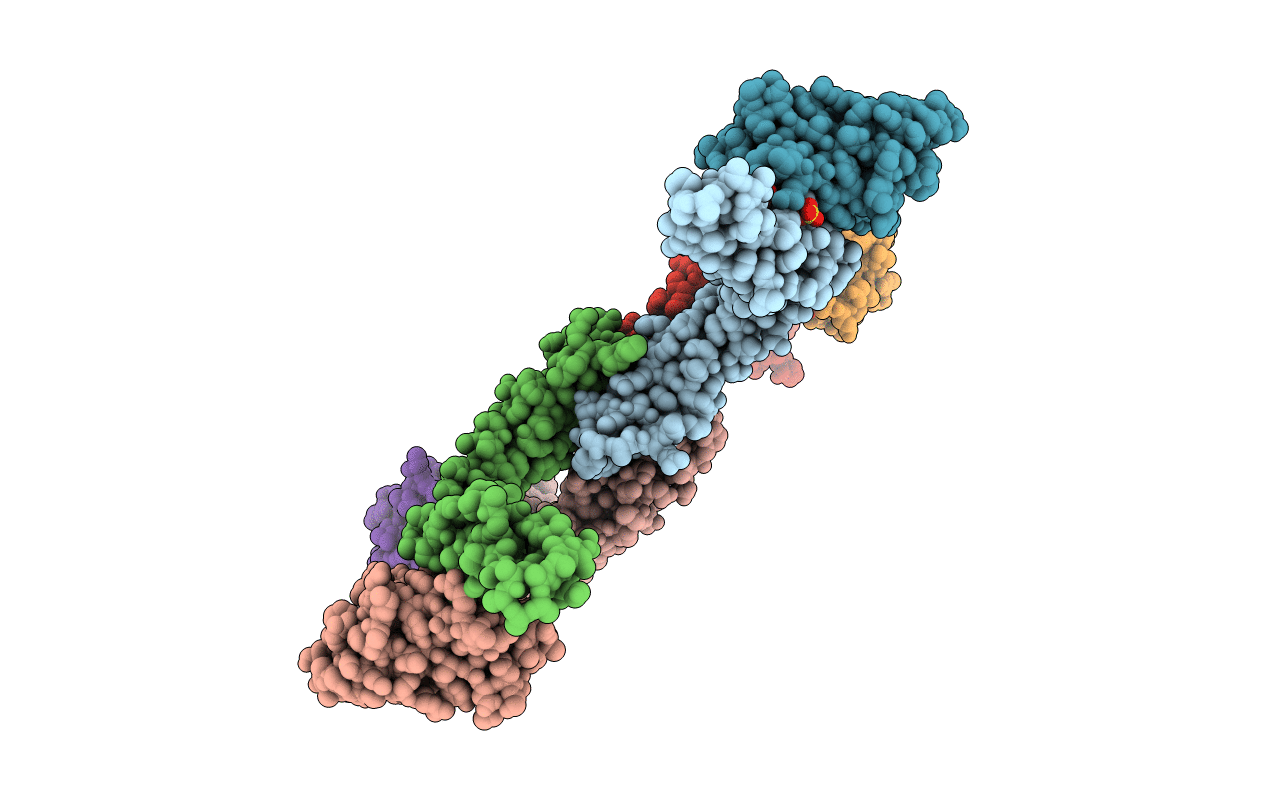 5IHL image