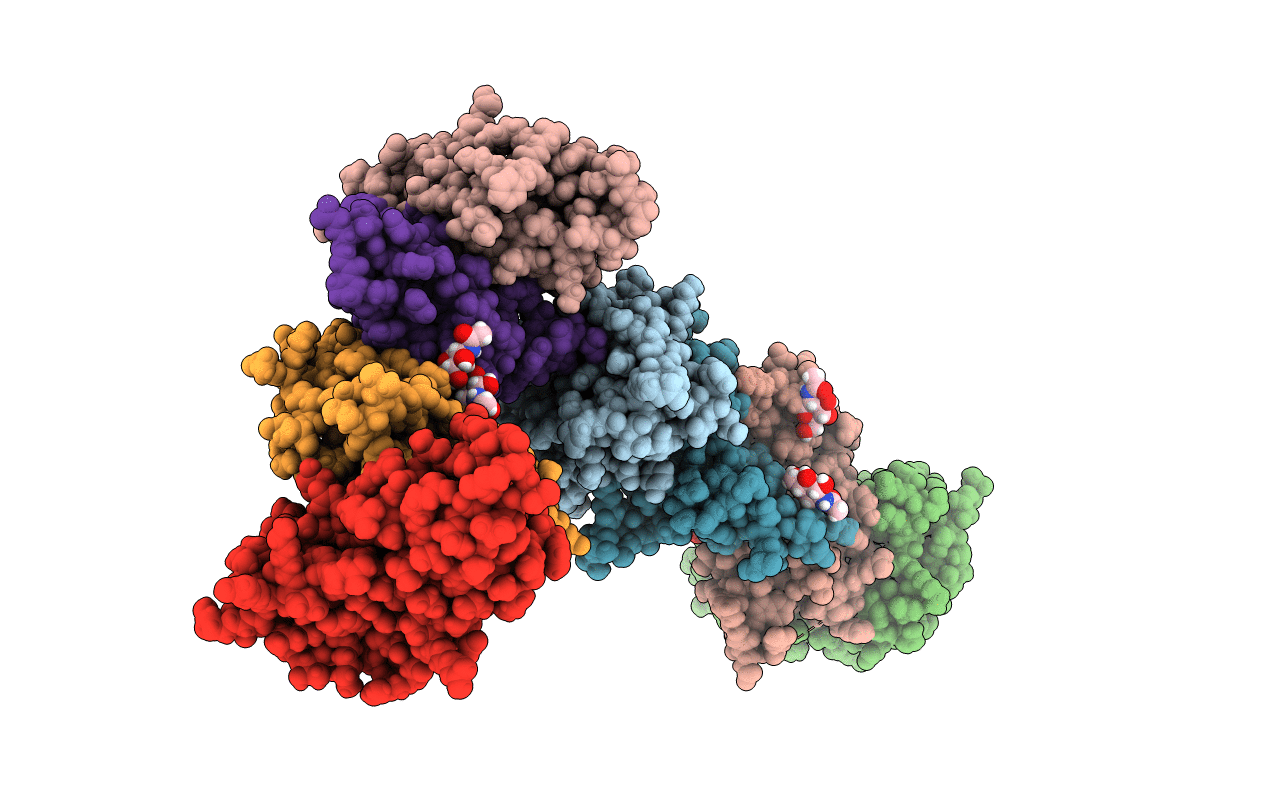 5IIA image
