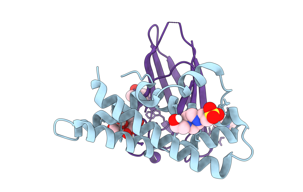 5IIB image