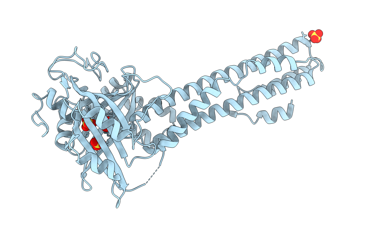 5IIG image