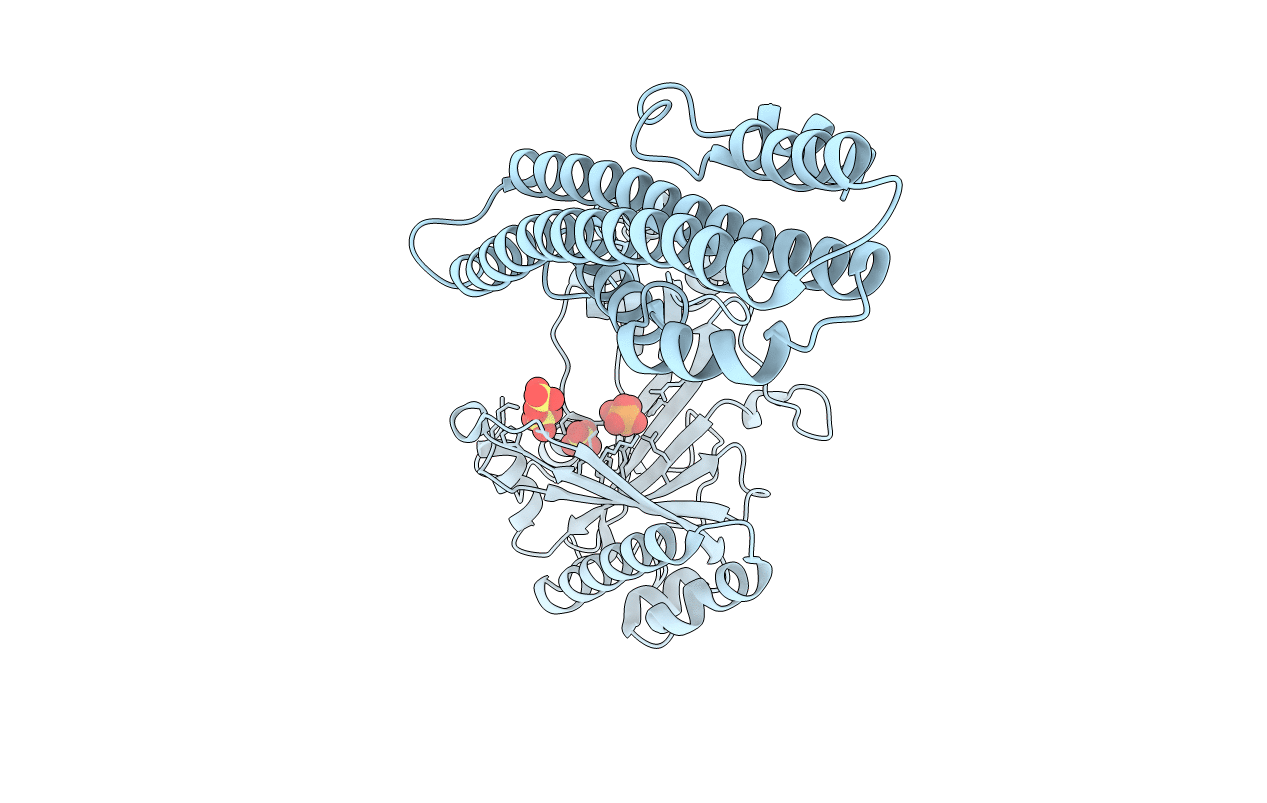 5IIQ image