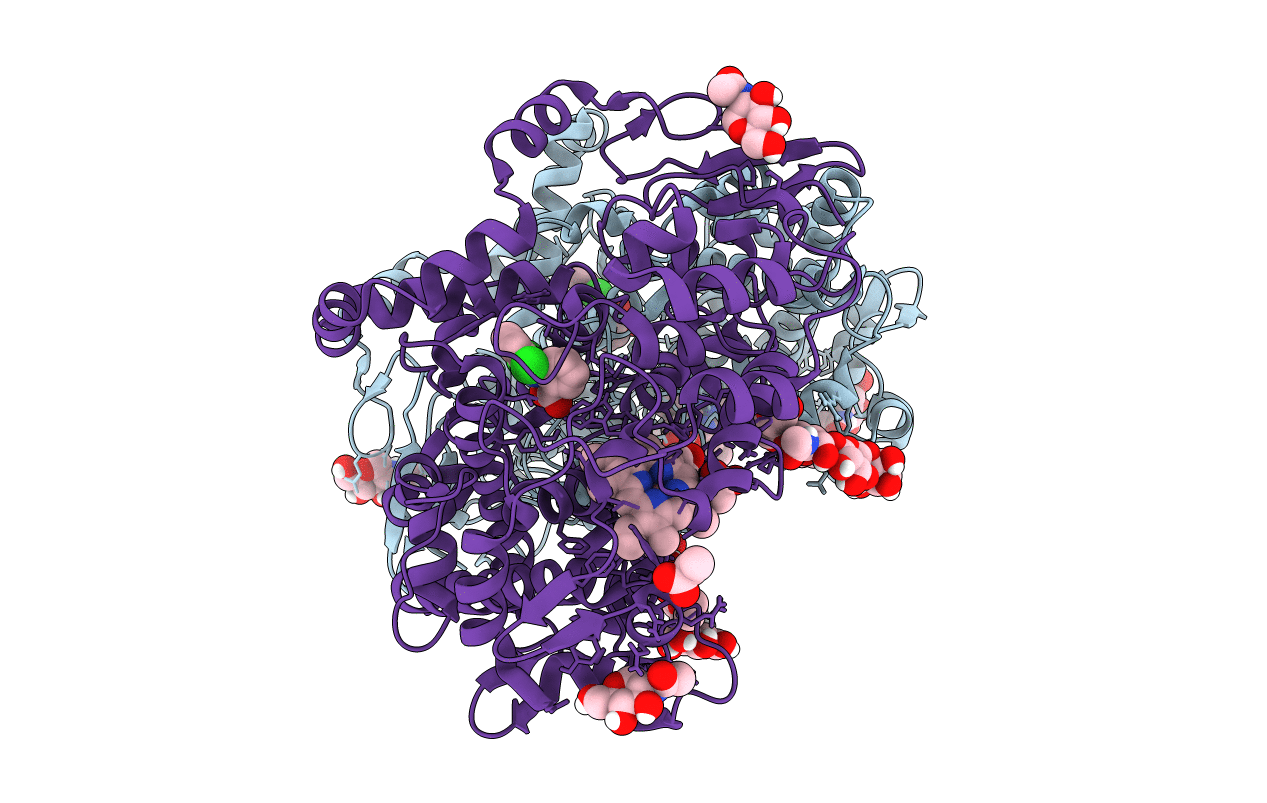 5IKQ image