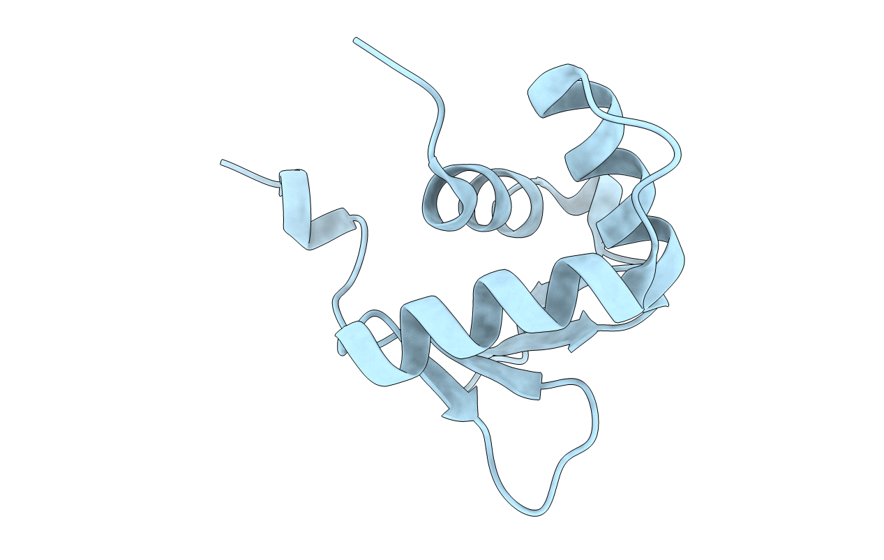 5ILV image