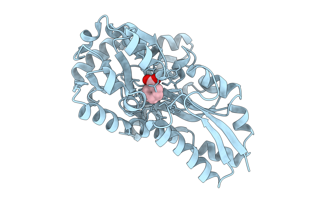 5IM2 image