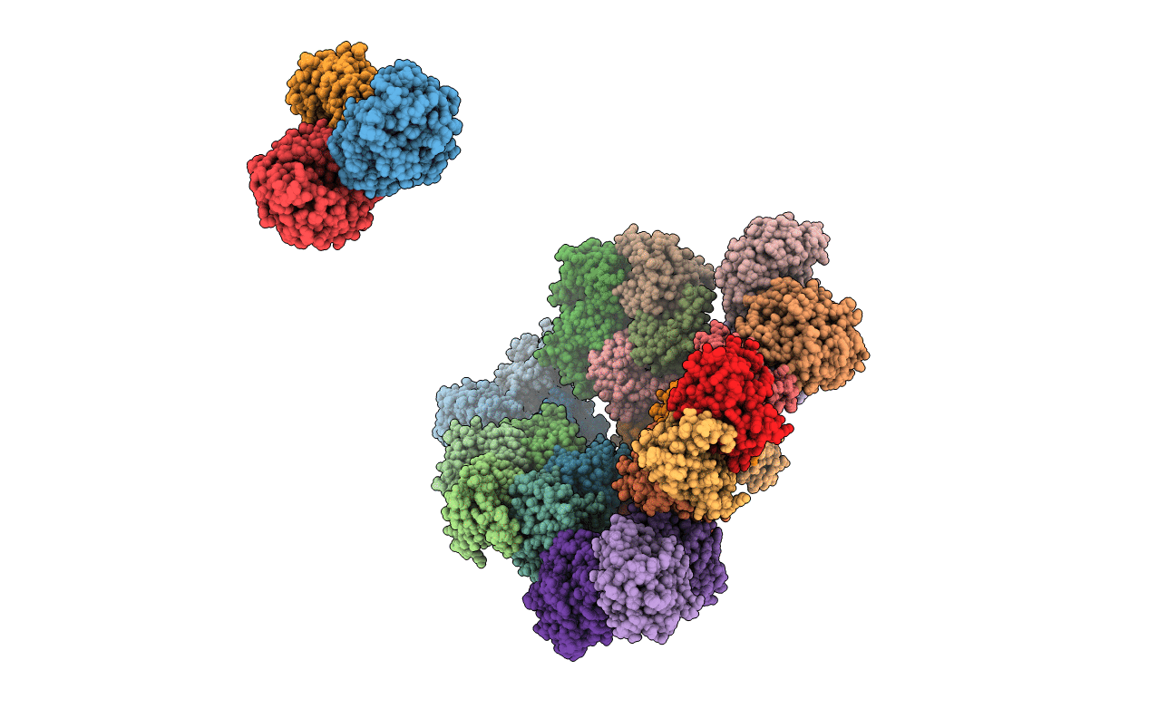 5IM5 image