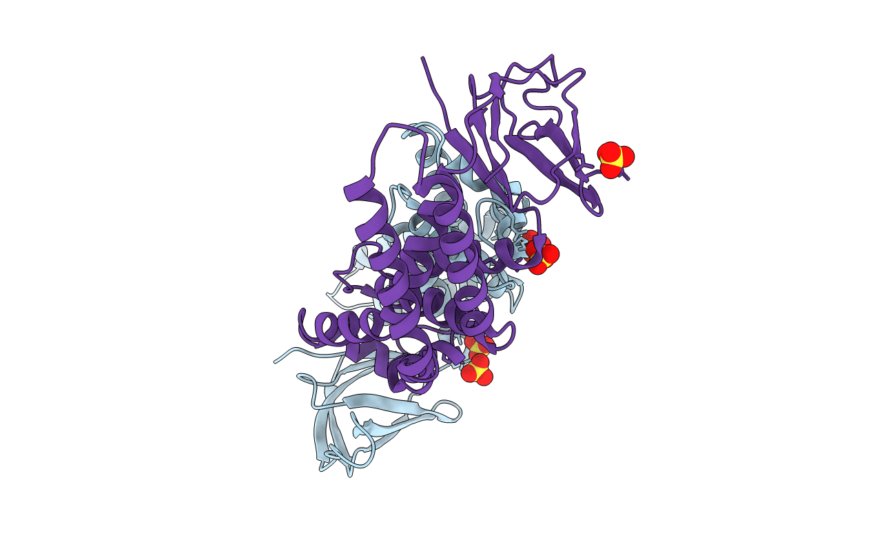5IMJ image