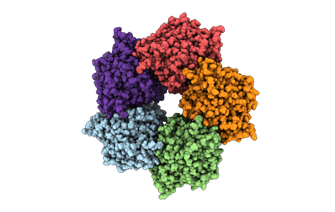 5INX image