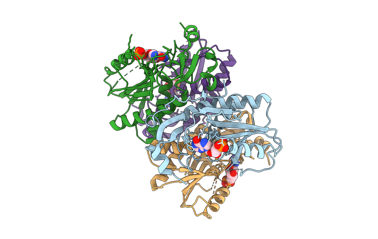 5IPF image