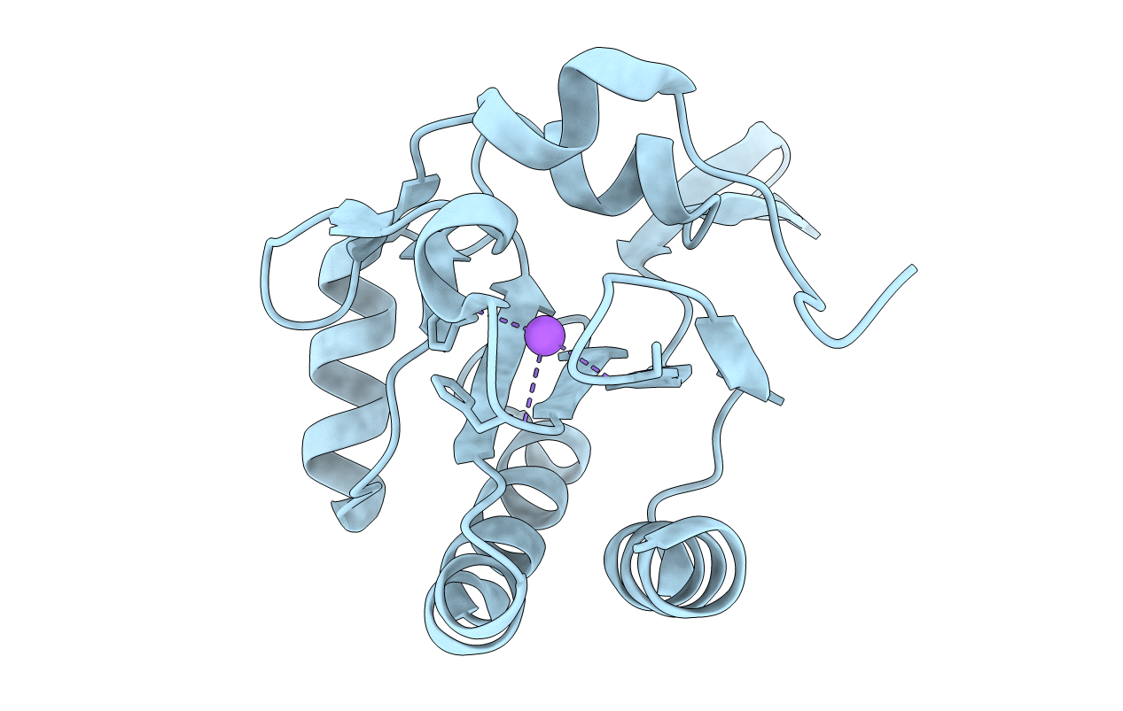5IPH image