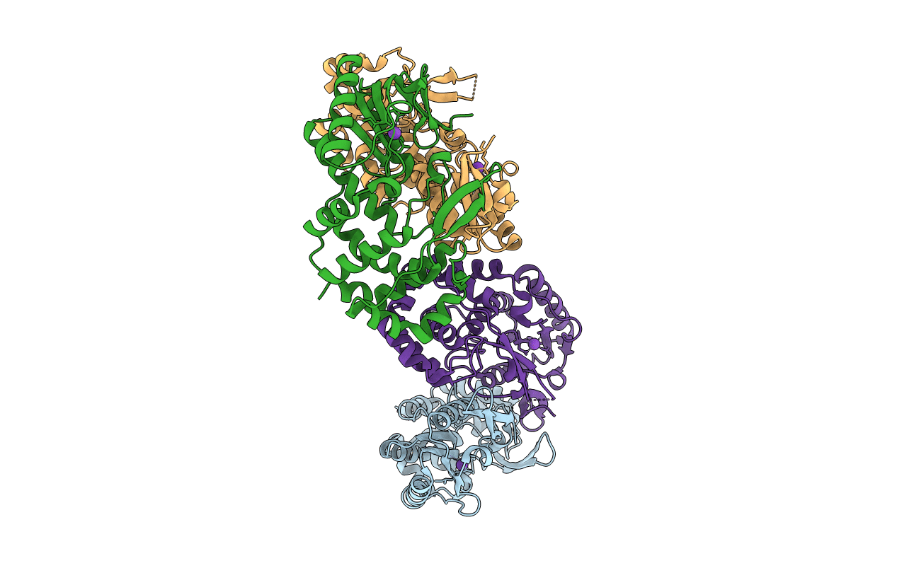 5IRG image
