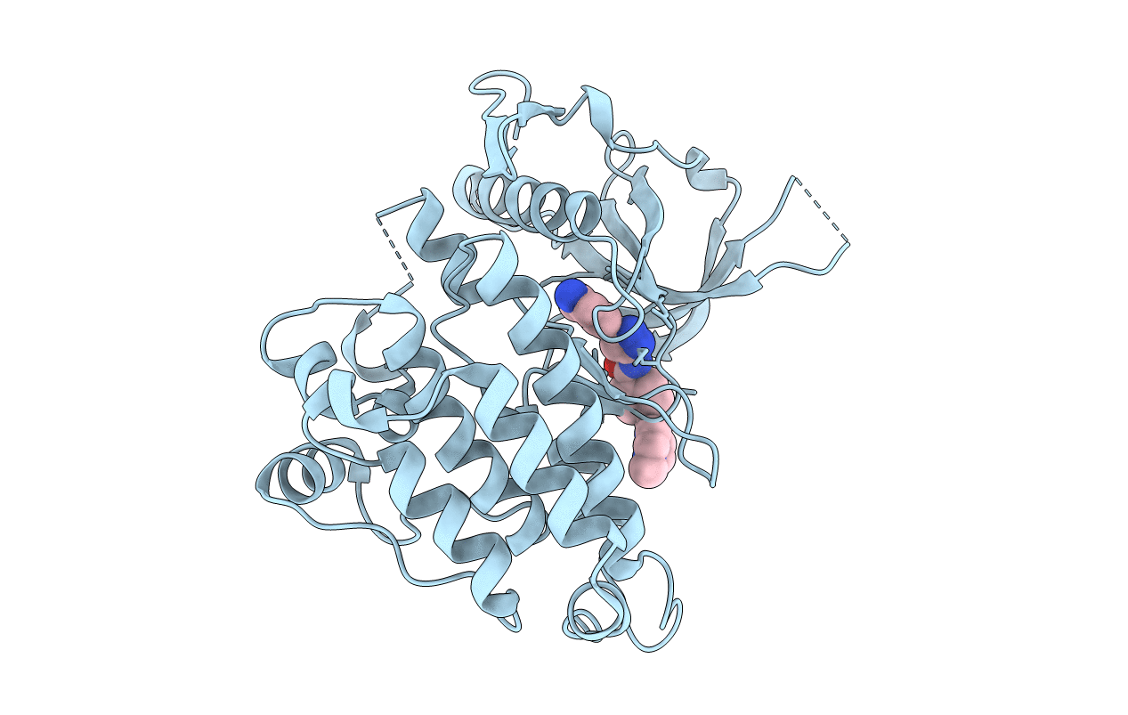 5IUI image