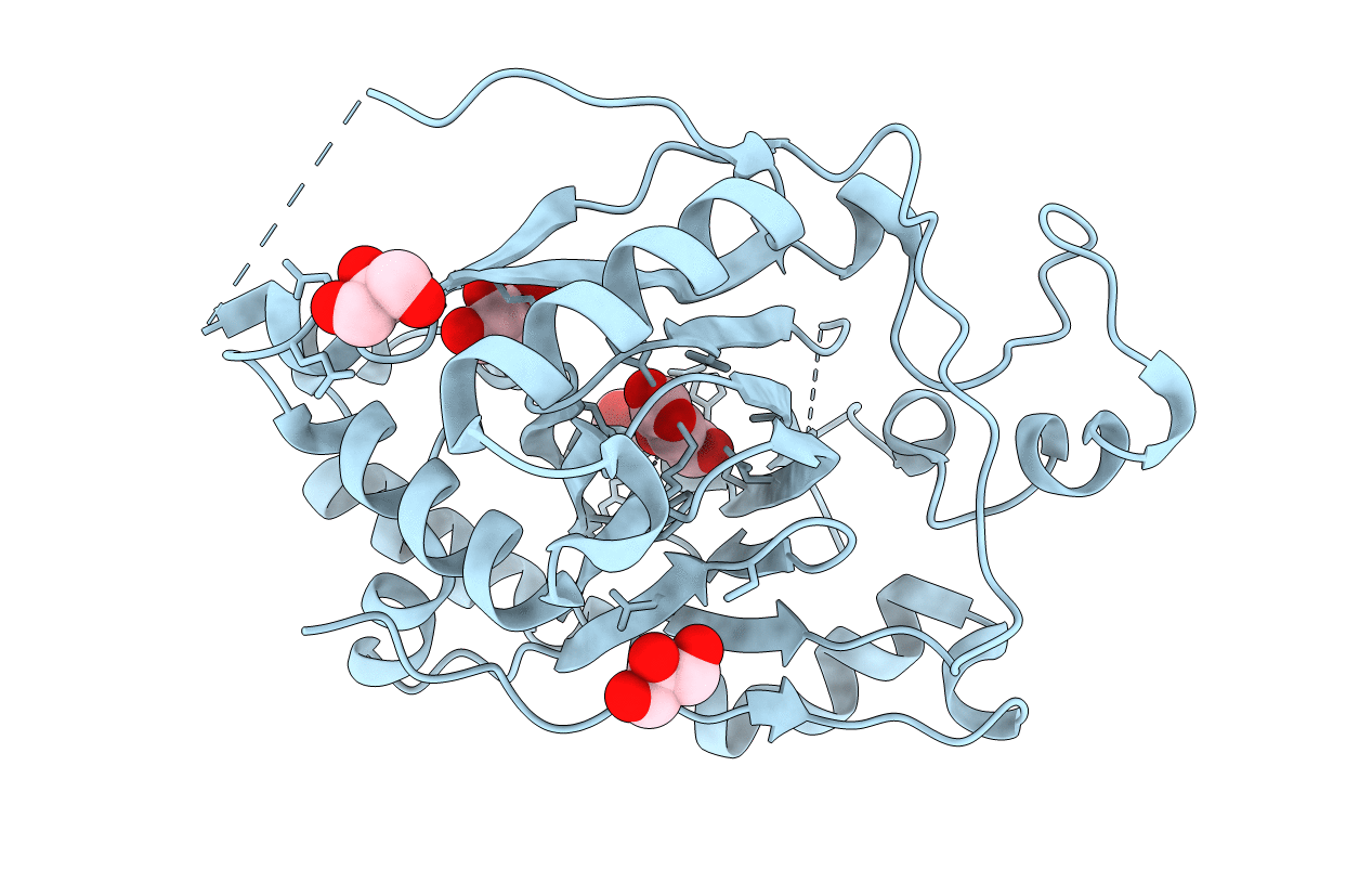 5IVB image