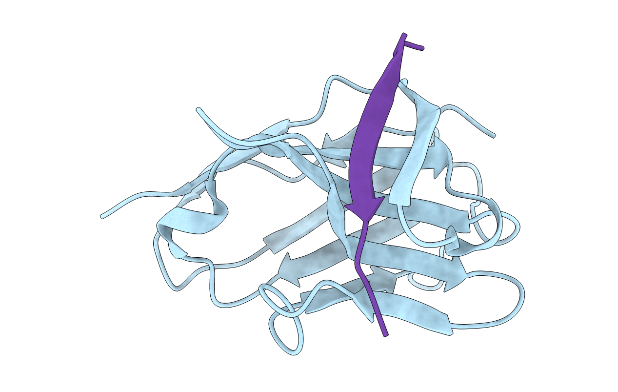 5IVN image