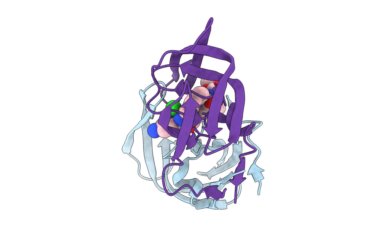 5IVR image