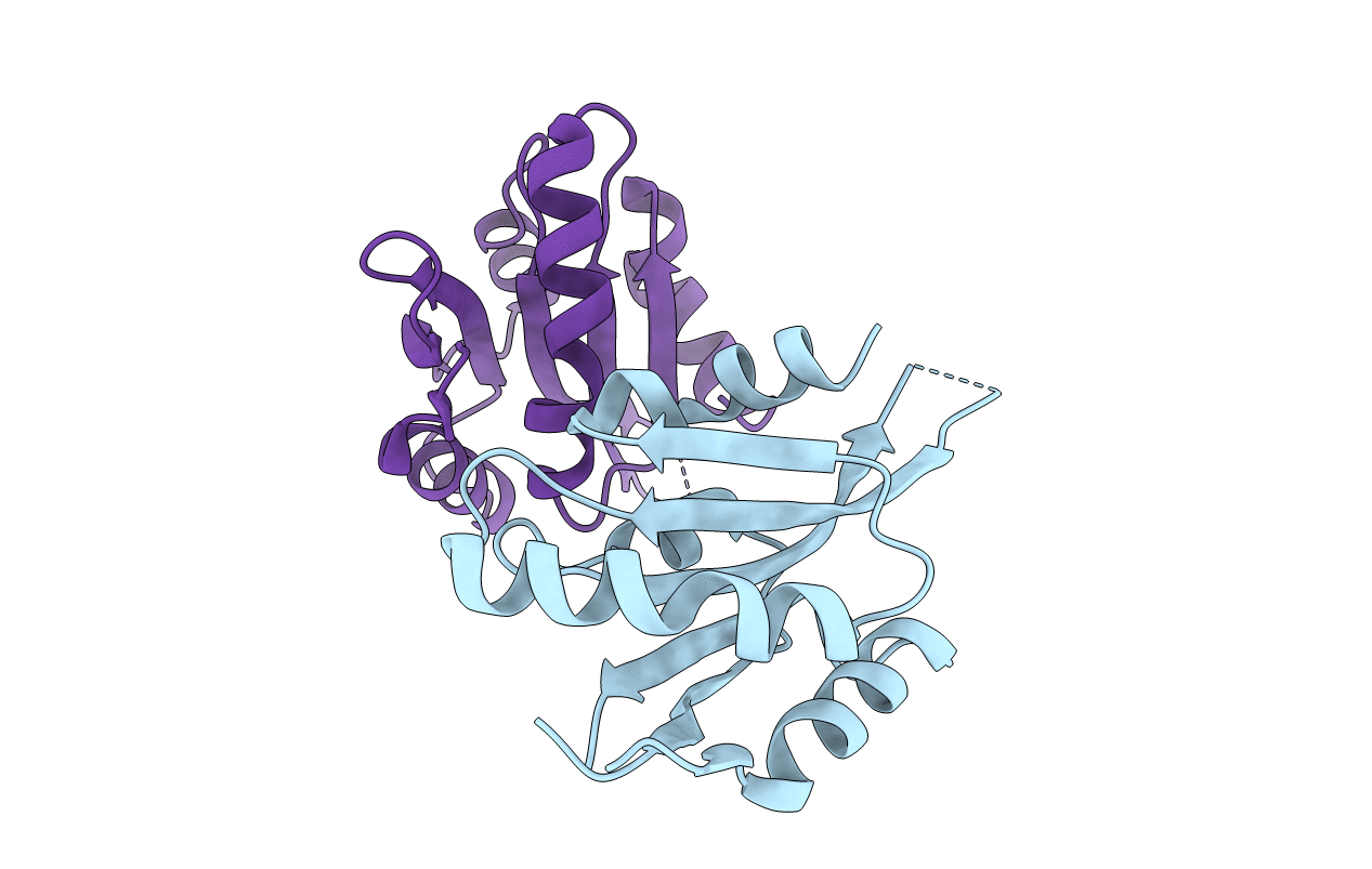 5IVU image