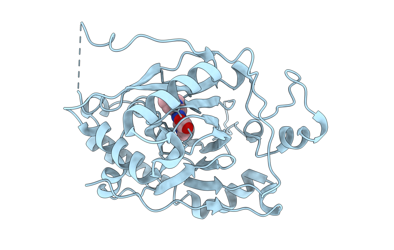 5IVV image
