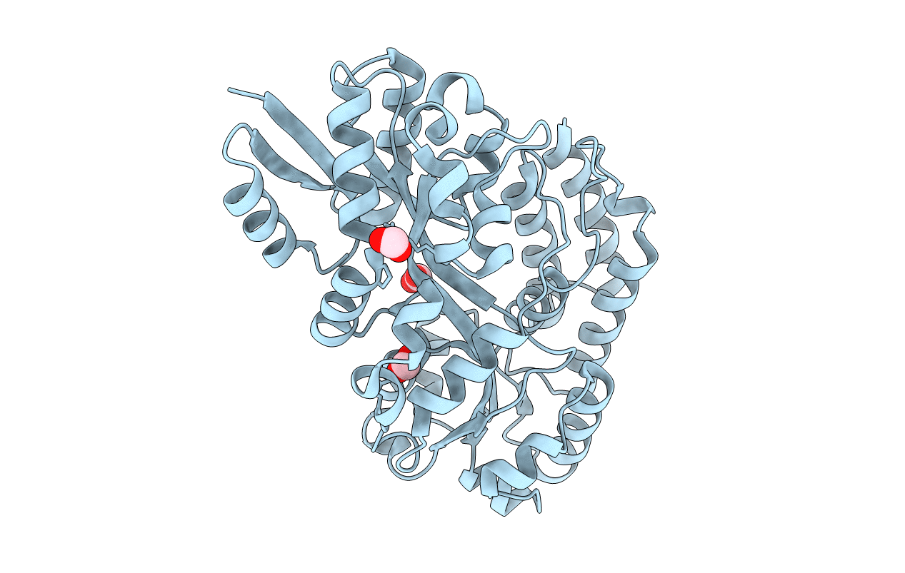5IXP image