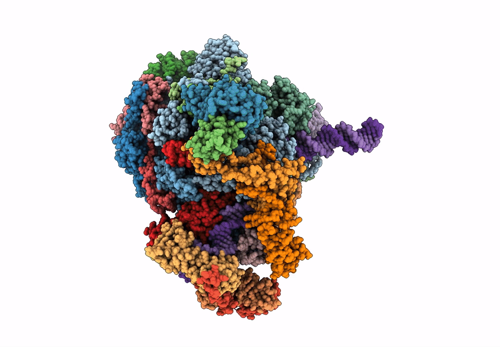 5IYB image