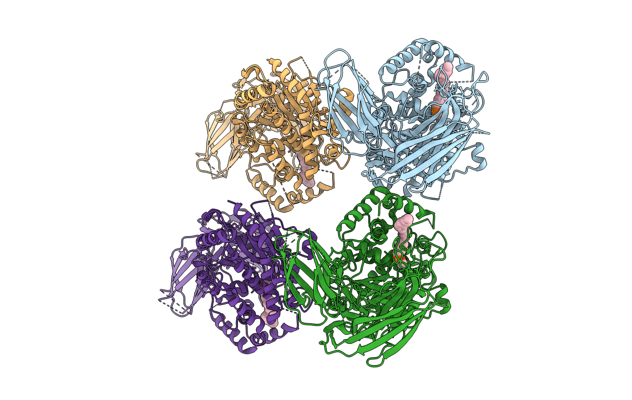 5IZR image
