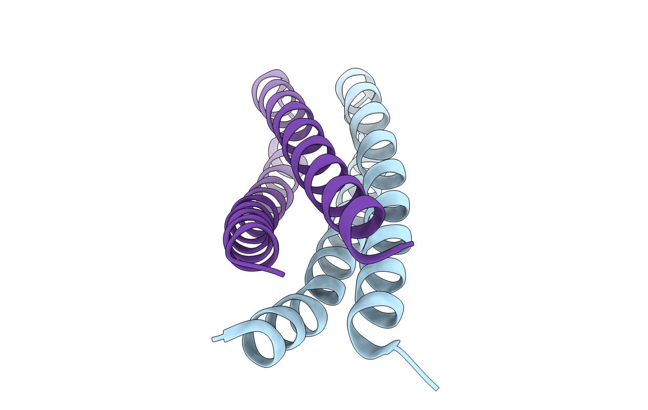 5J10 image
