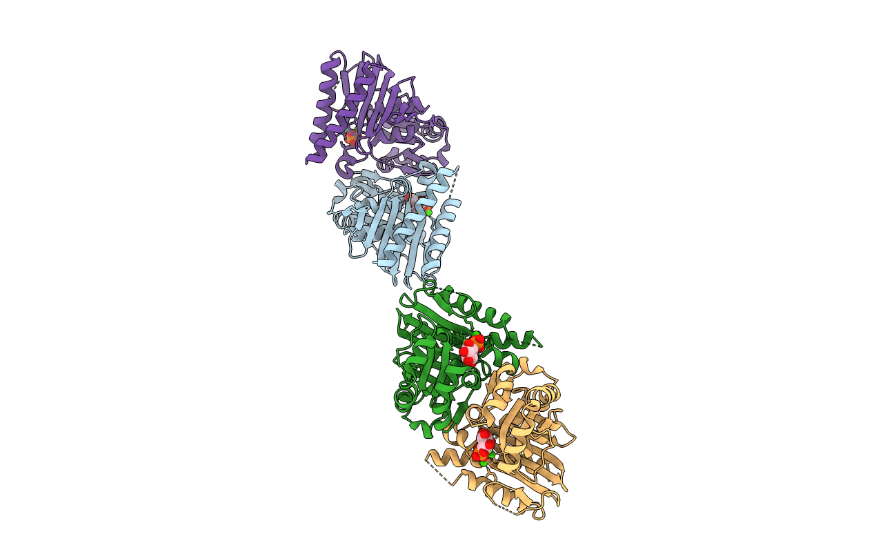 5J16 image