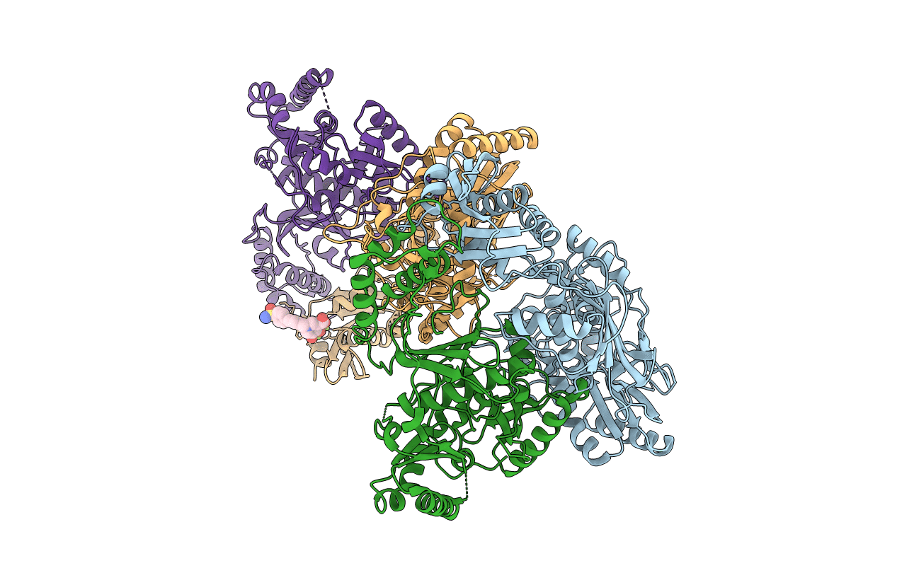 5J1E image