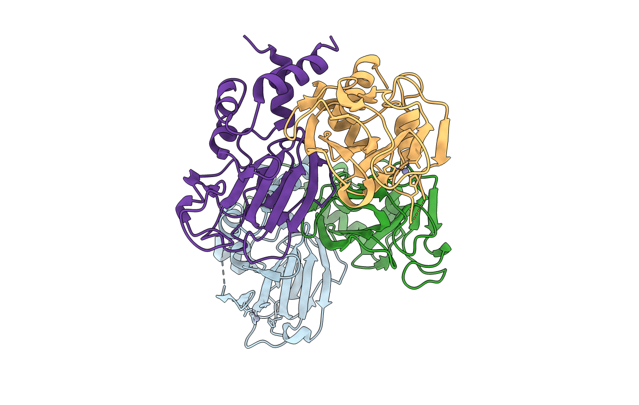5J1L image