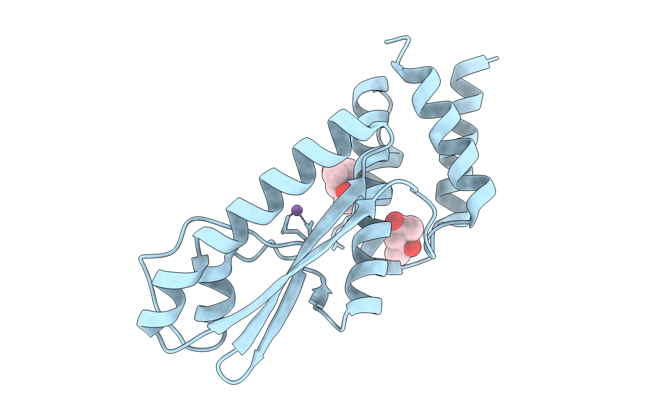 5J1N image