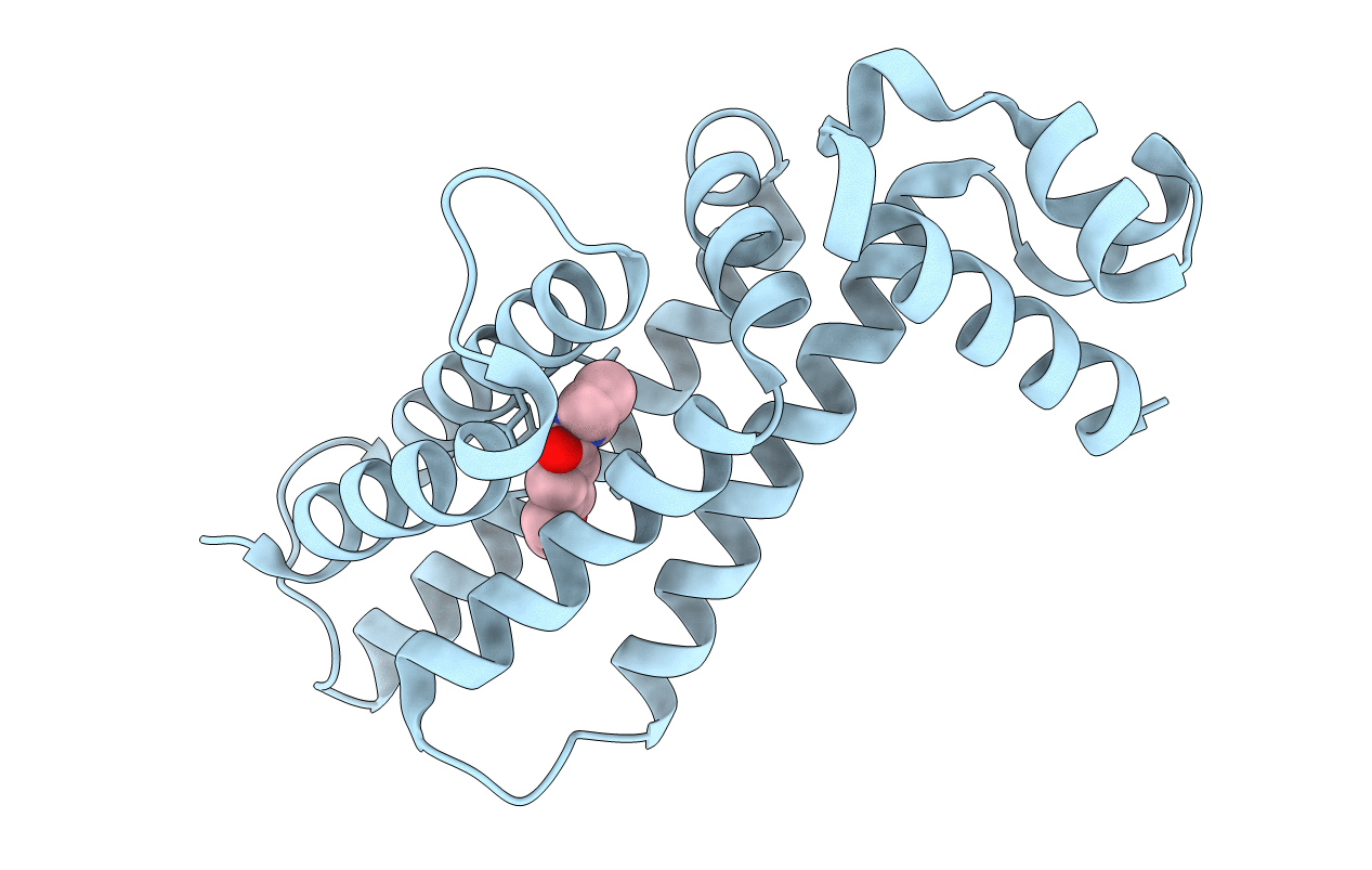 5J1R image