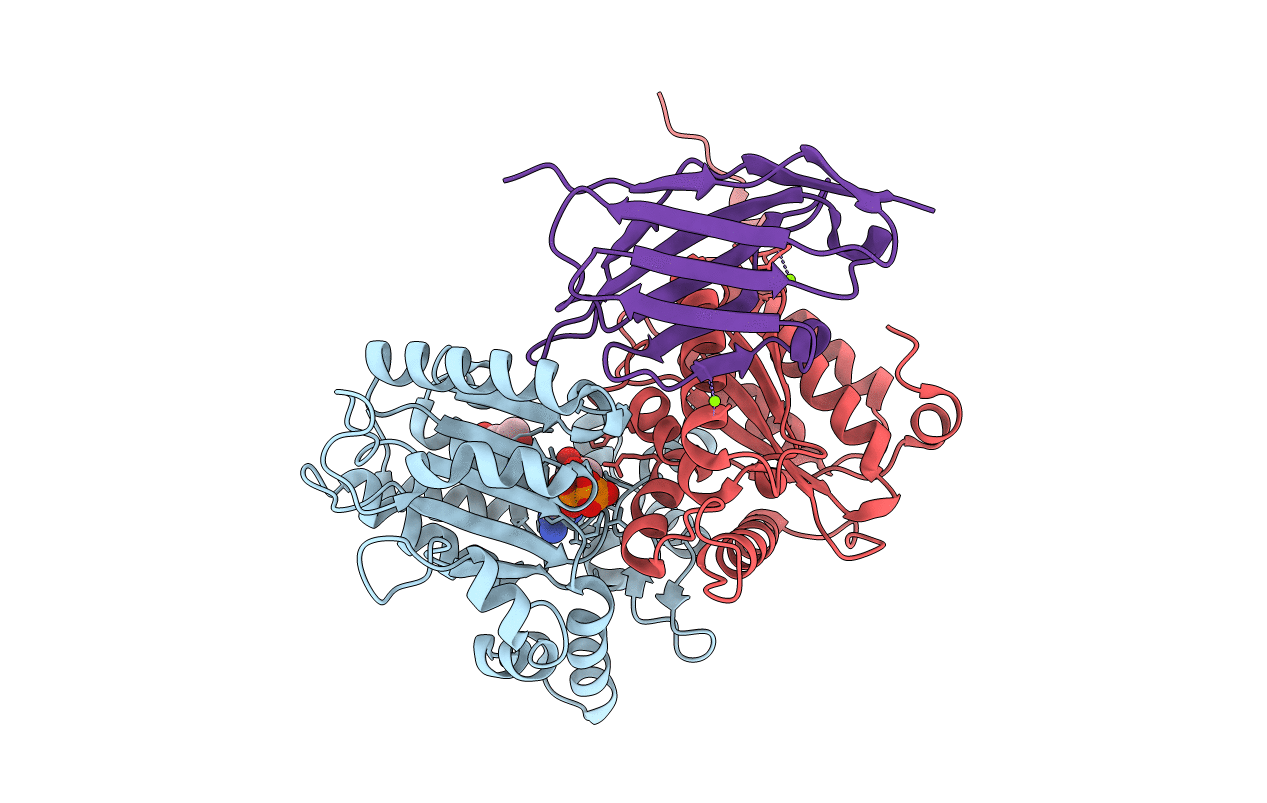 5J1S image