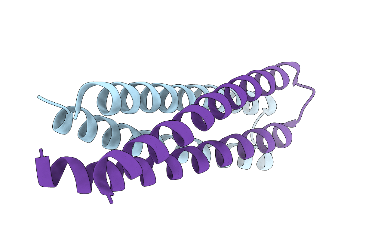 5J2L image