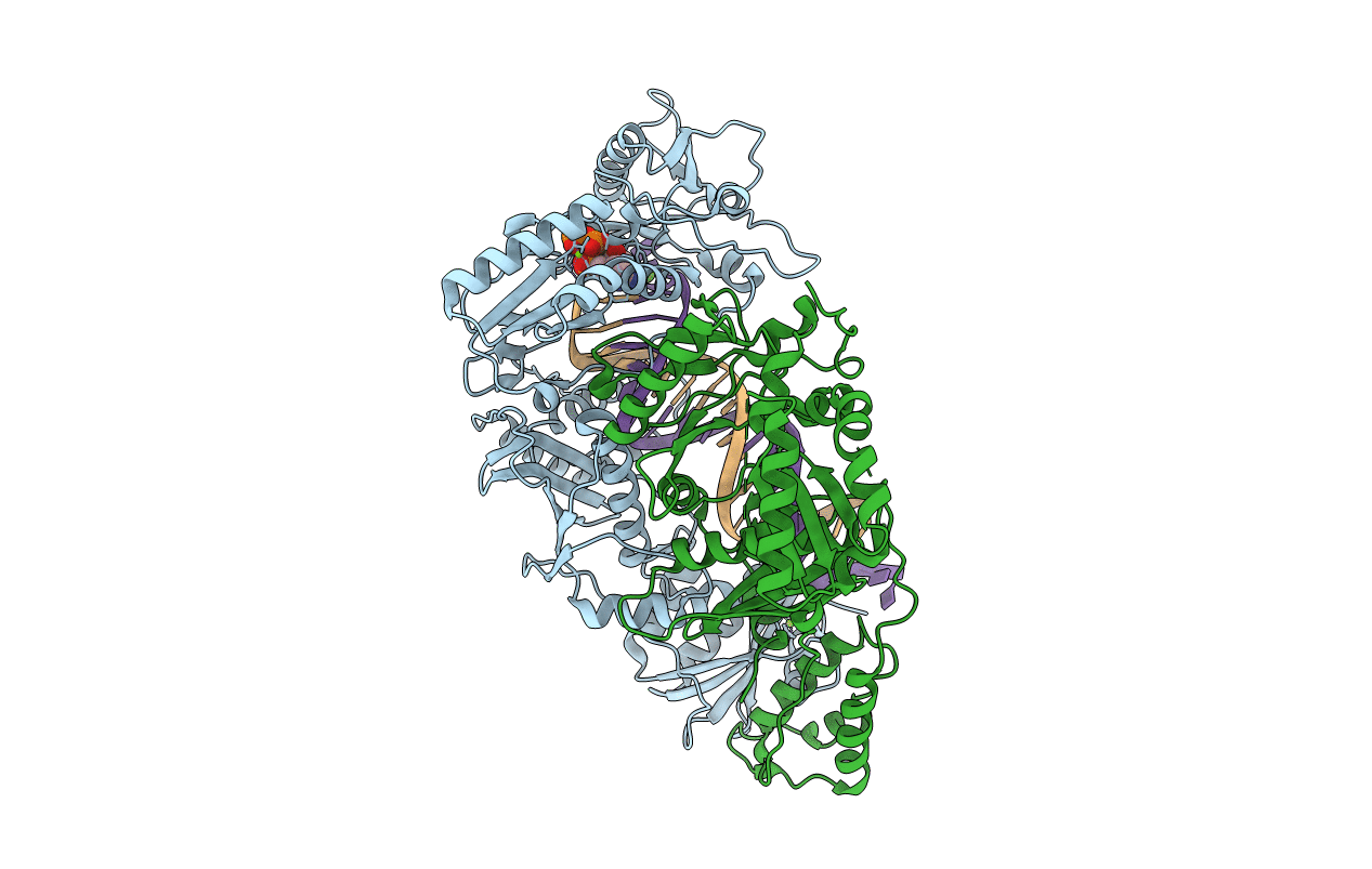 5J2M image