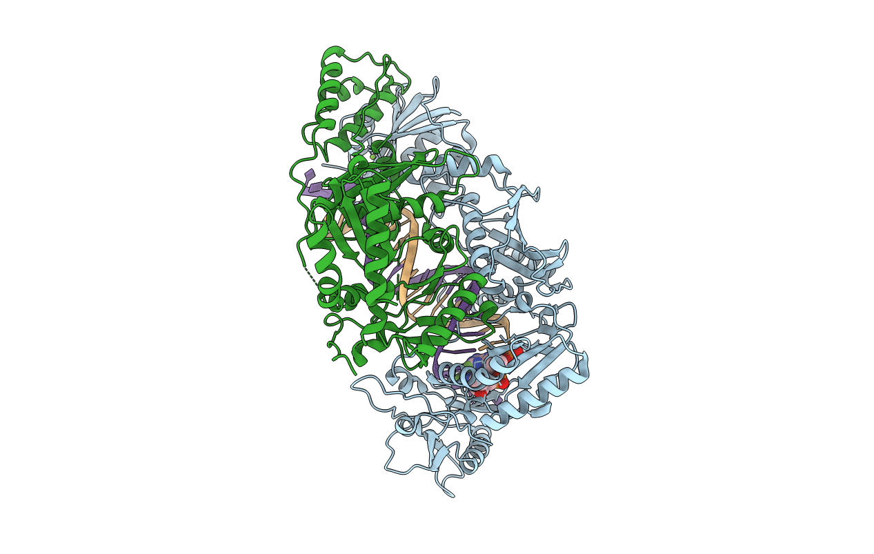 5J2P image