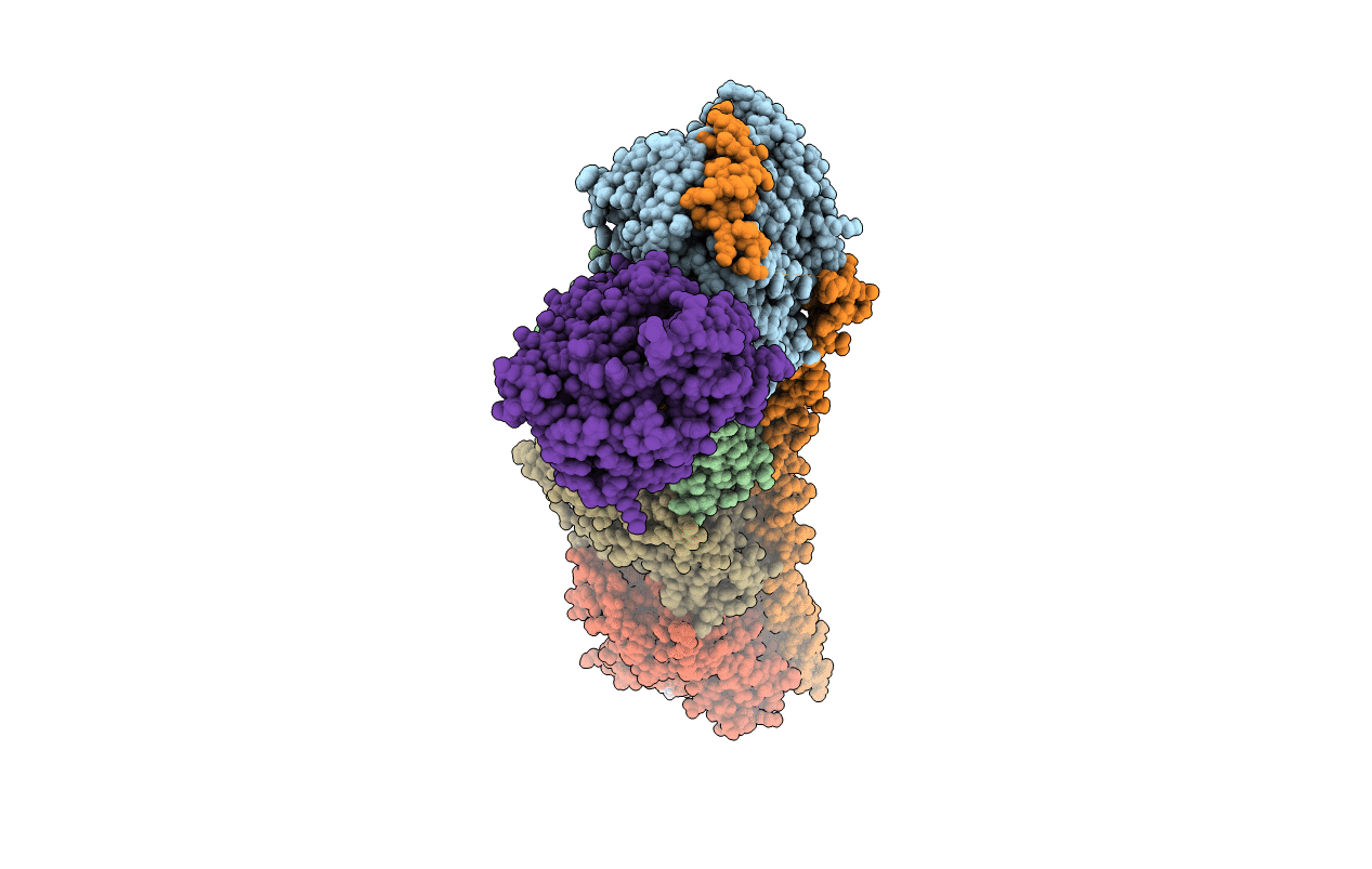 5J2U image