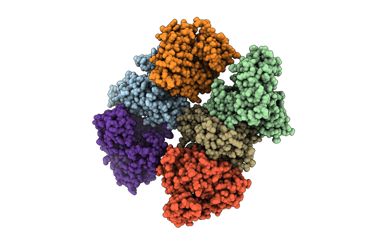 5J3X image