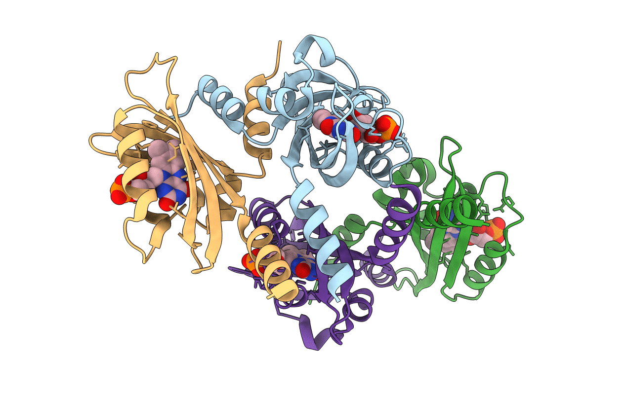 5J4E image