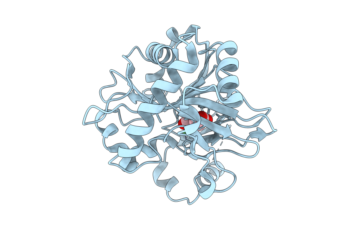 5J4R image