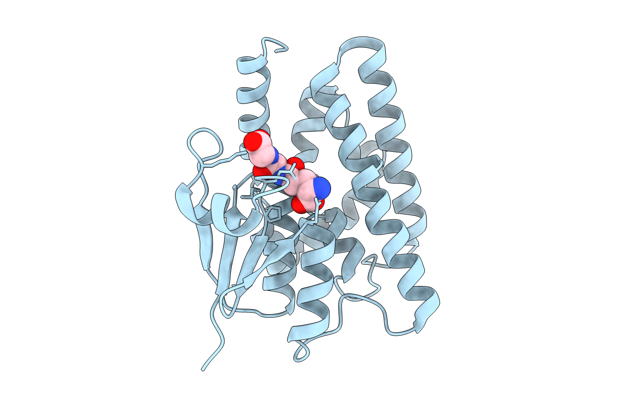 5J4U image