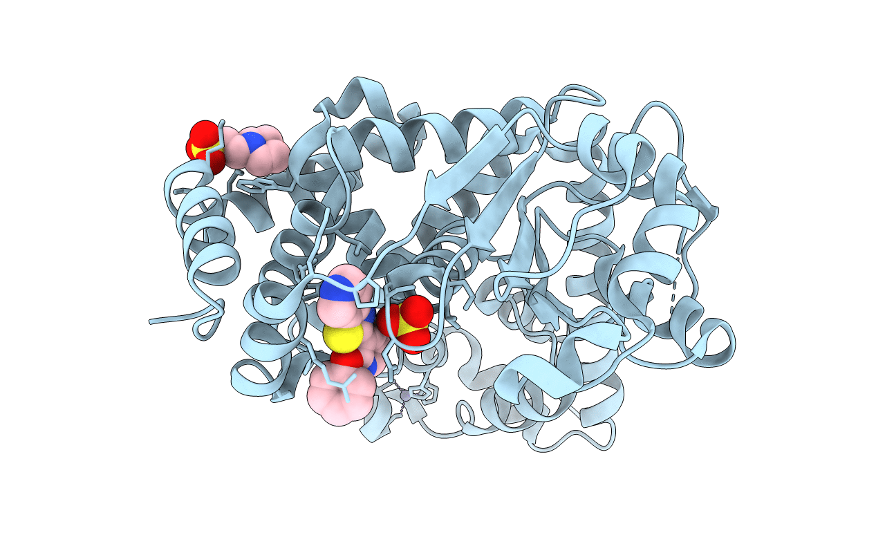 5J4V image