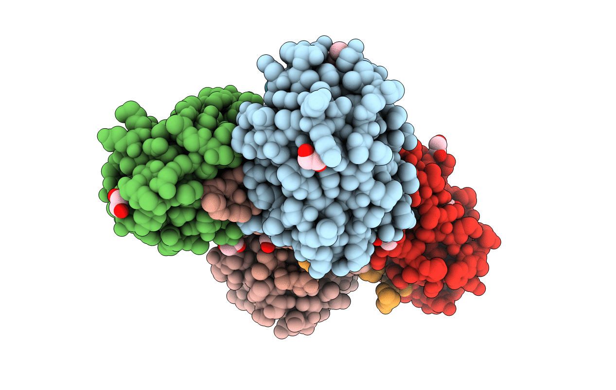 5J4X image